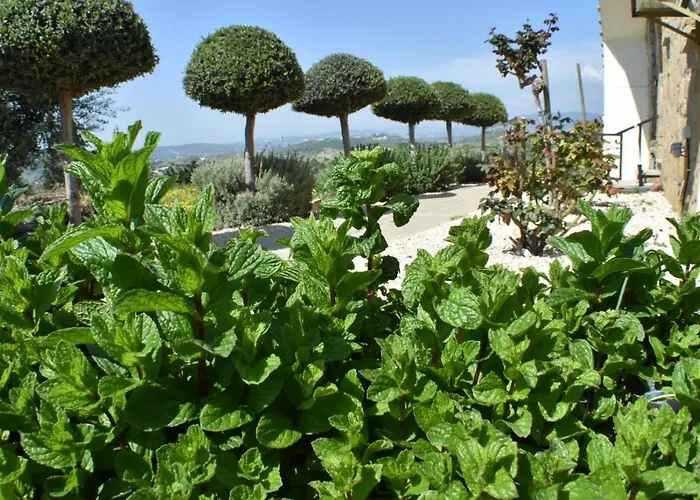 Penzion George Pentakomo