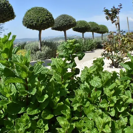 Guest house George Pentakomo