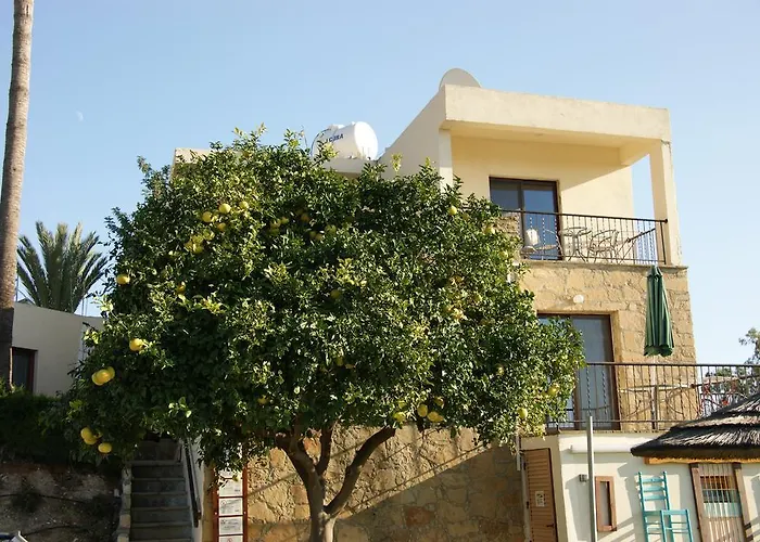 George Penzion Pentakomo